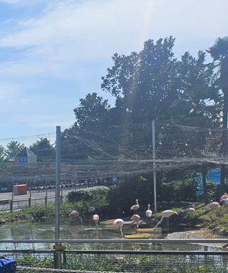 年長さん秋の遠足